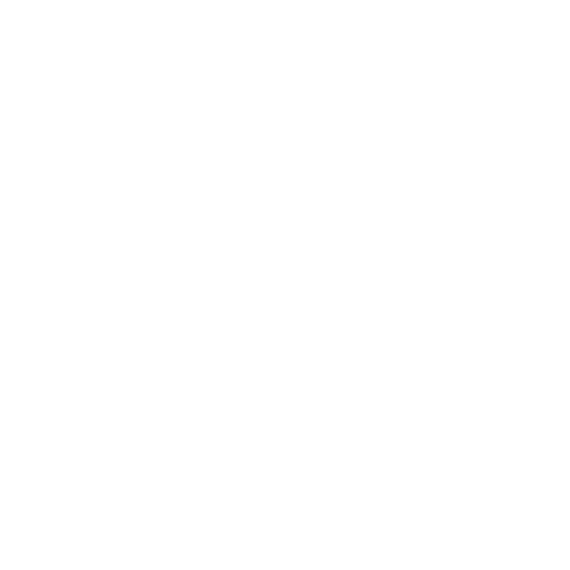plsus icon